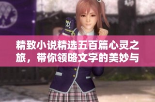 精致小说精选五百篇心灵之旅，带你领略文字的美妙与深邃