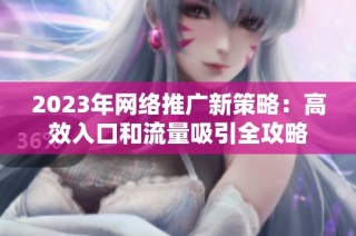 2023年网络推广新策略：高效入口和流量吸引全攻略