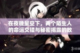 在夜晚星空下，两个陌生人的命运交错与秘密揭露的故事