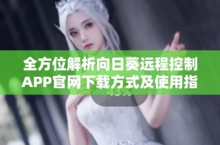 全方位解析向日葵远程控制APP官网下载方式及使用指南