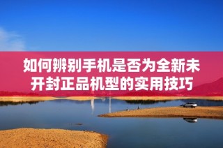 如何辨别手机是否为全新未开封正品机型的实用技巧
