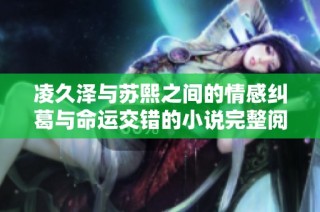 凌久泽与苏熙之间的情感纠葛与命运交错的小说完整阅读体验