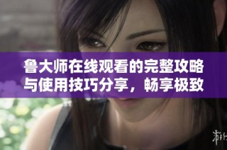 鲁大师在线观看的完整攻略与使用技巧分享，畅享极致观影体验