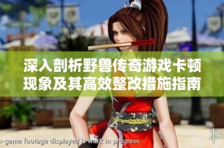 深入剖析野兽传奇游戏卡顿现象及其高效整改措施指南