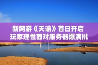 新网游《天谕》首日开启 玩家理性面对服务器爆满挑战