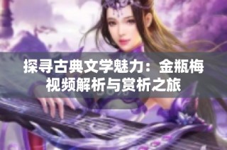 探寻古典文学魅力：金瓶梅视频解析与赏析之旅