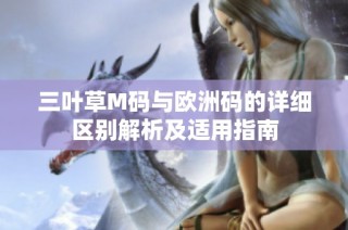 三叶草M码与欧洲码的详细区别解析及适用指南