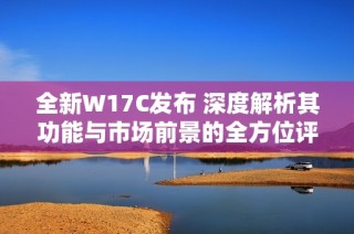 全新W17C发布 深度解析其功能与市场前景的全方位评测