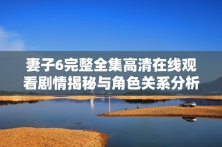 妻子6完整全集高清在线观看剧情揭秘与角色关系分析解析