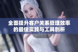 全面提升客户关系管理效率的最佳实践与工具剖析