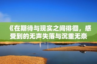 《在期待与现实之间徘徊，感受到的无声失落与沉重无奈》