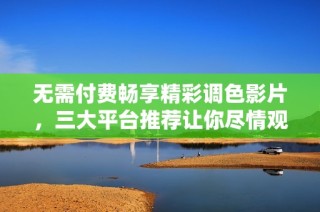 无需付费畅享精彩调色影片，三大平台推荐让你尽情观看