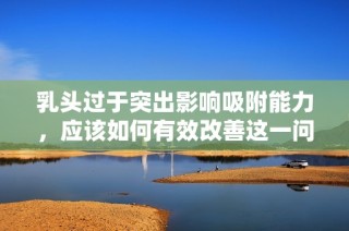乳头过于突出影响吸附能力，应该如何有效改善这一问题