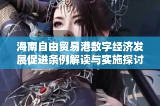 海南自由贸易港数字经济发展促进条例解读与实施探讨