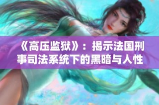 《高压监狱》：揭示法国刑事司法系统下的黑暗与人性挣扎的电影完整版