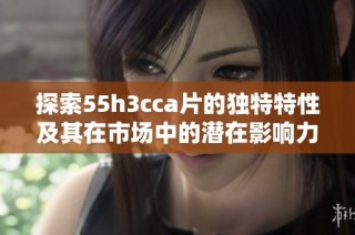探索55h3cca片的独特特性及其在市场中的潜在影响力