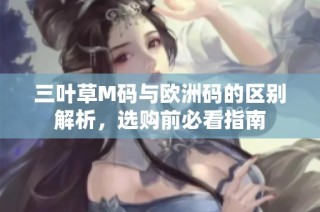 三叶草M码与欧洲码的区别解析，选购前必看指南
