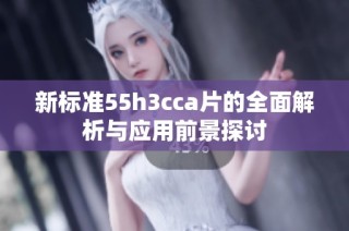 新标准55h3cca片的全面解析与应用前景探讨