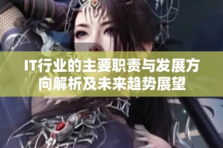 IT行业的主要职责与发展方向解析及未来趋势展望
