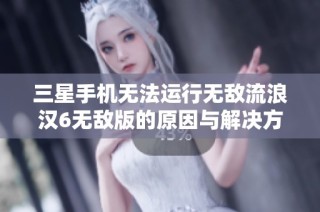 三星手机无法运行无敌流浪汉6无敌版的原因与解决方案分析