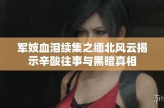 军妓血泪续集之缅北风云揭示辛酸往事与黑暗真相