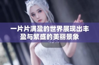 一片片满盈的世界展现出丰盈与繁盛的美丽景象