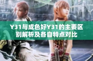 Y31与成色好Y31的主要区别解析及各自特点对比