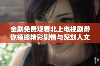 全剧免费观看北上电视剧带你领略精彩剧情与深刻人文内涵