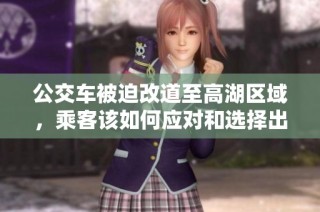 公交车被迫改道至高湖区域，乘客该如何应对和选择出行方式