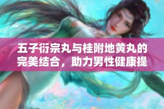五子衍宗丸与桂附地黄丸的完美结合，助力男性健康提升与调理