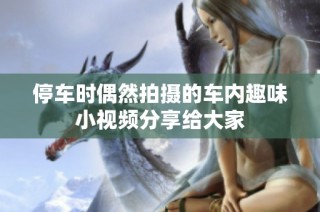 停车时偶然拍摄的车内趣味小视频分享给大家