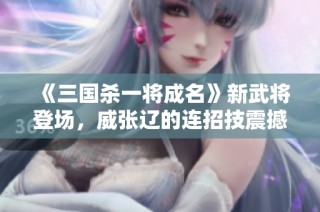 《三国杀一将成名》新武将登场，威张辽的连招技震撼上线！