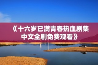 《十六岁已满青春热血剧集中文全剧免费观看》
