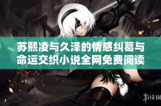 苏熙凌与久泽的情感纠葛与命运交织小说全网免费阅读指南