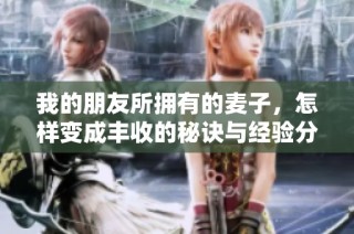 我的朋友所拥有的麦子，怎样变成丰收的秘诀与经验分享