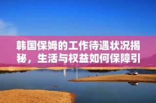 韩国保姆的工作待遇状况揭秘，生活与权益如何保障引发关注