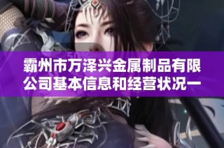 霸州市万泽兴金属制品有限公司基本信息和经营状况一览