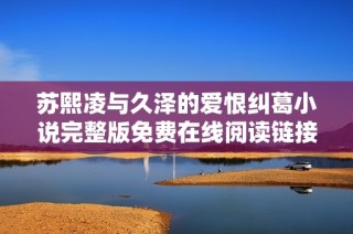 苏熙凌与久泽的爱恨纠葛小说完整版免费在线阅读链接分享