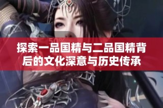 探索一品国精与二品国精背后的文化深意与历史传承