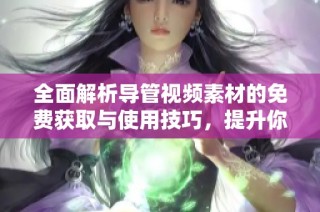 全面解析导管视频素材的免费获取与使用技巧，提升你的创作水平