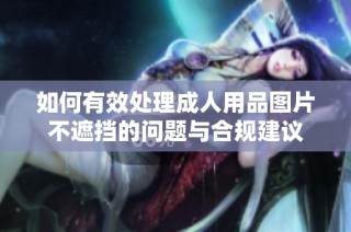 如何有效处理成人用品图片不遮挡的问题与合规建议