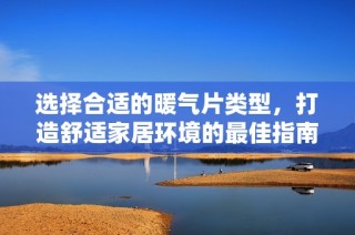 选择合适的暖气片类型，打造舒适家居环境的最佳指南