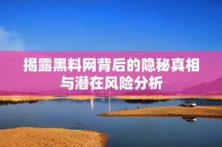 揭露黑料网背后的隐秘真相与潜在风险分析