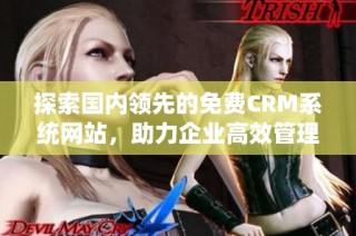 探索国内领先的免费CRM系统网站，助力企业高效管理客户关系