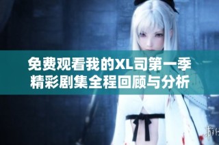 免费观看我的XL司第一季精彩剧集全程回顾与分析