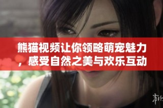 熊猫视频让你领略萌宠魅力，感受自然之美与欢乐互动