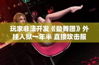 玩家非法开发《劲舞团》外挂入狱一年半 直接攻击服务器被判刑