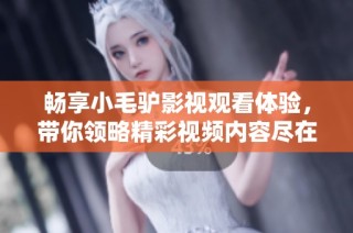 畅享小毛驴影视观看体验，带你领略精彩视频内容尽在掌握中