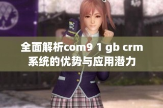 全面解析com9 1 gb crm系统的优势与应用潜力