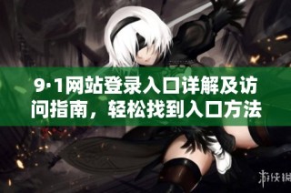 9·1网站登录入口详解及访问指南，轻松找到入口方法